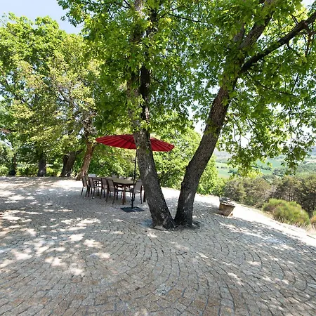 Domaine Du Bois D'asson - Avec Piscine Privée Villeneuve (Alpes-de-Haute-Provence)